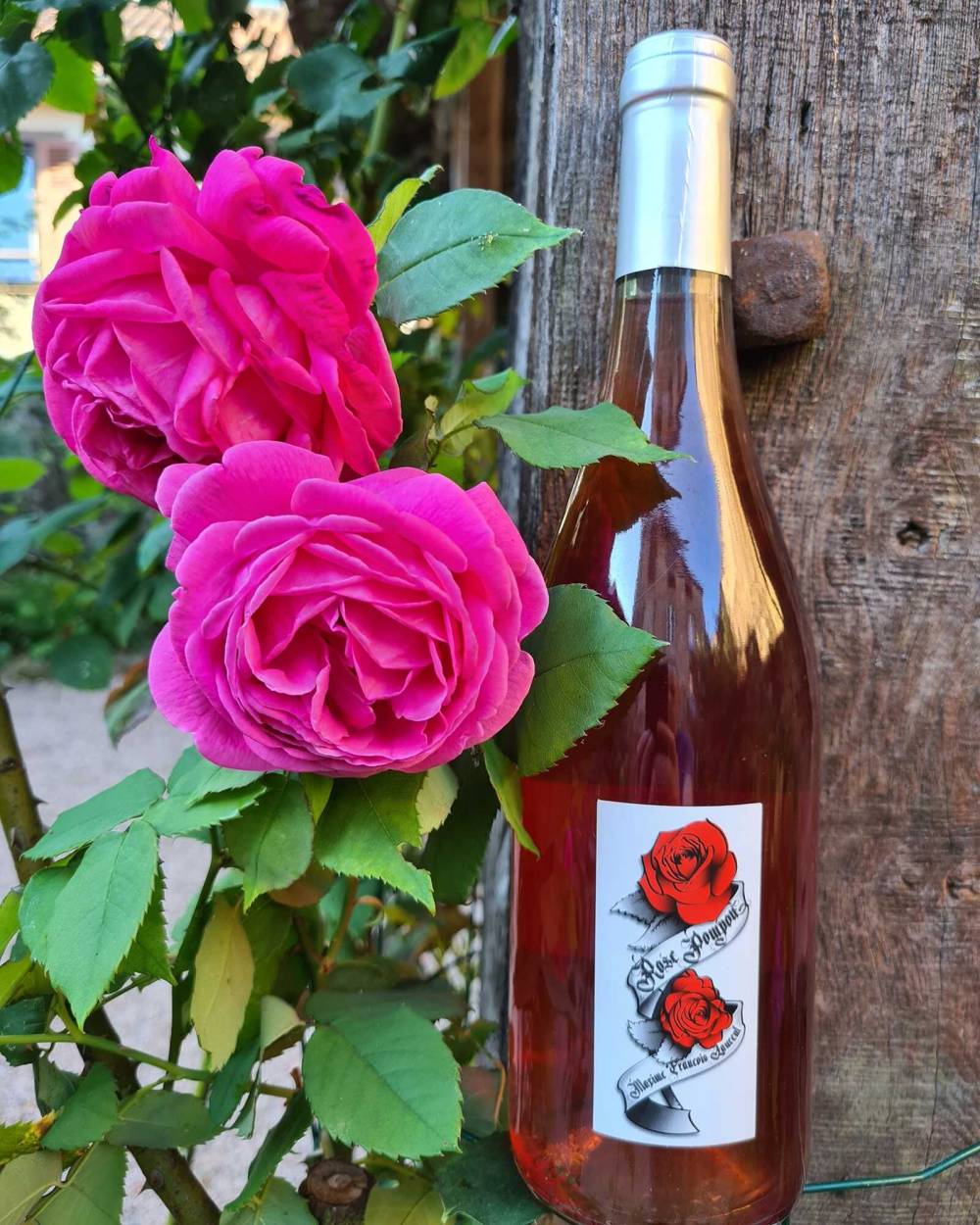Nos vin Rose poupou La Brande Les Quilles de Saint Martial